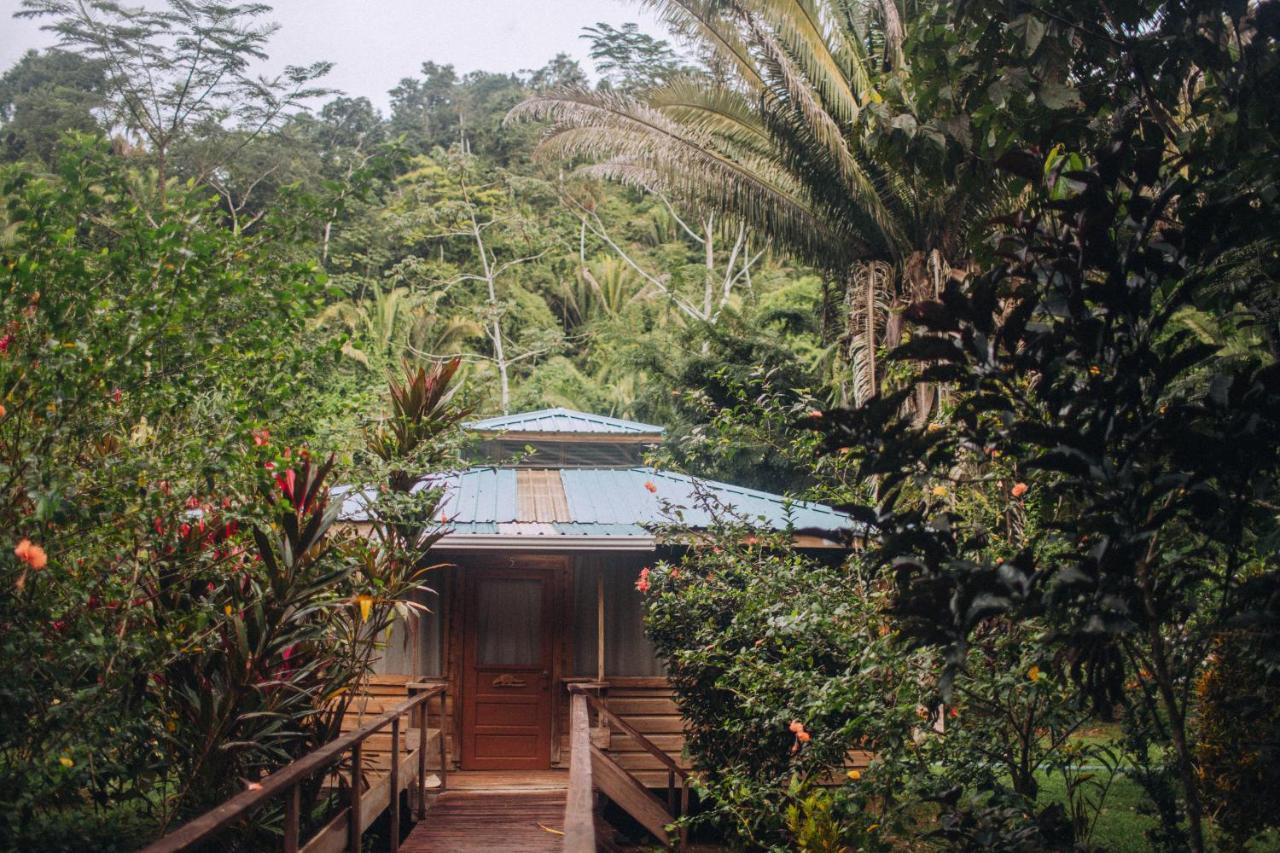 Hotel Jaguar Creek Good Living Camp Exterior foto