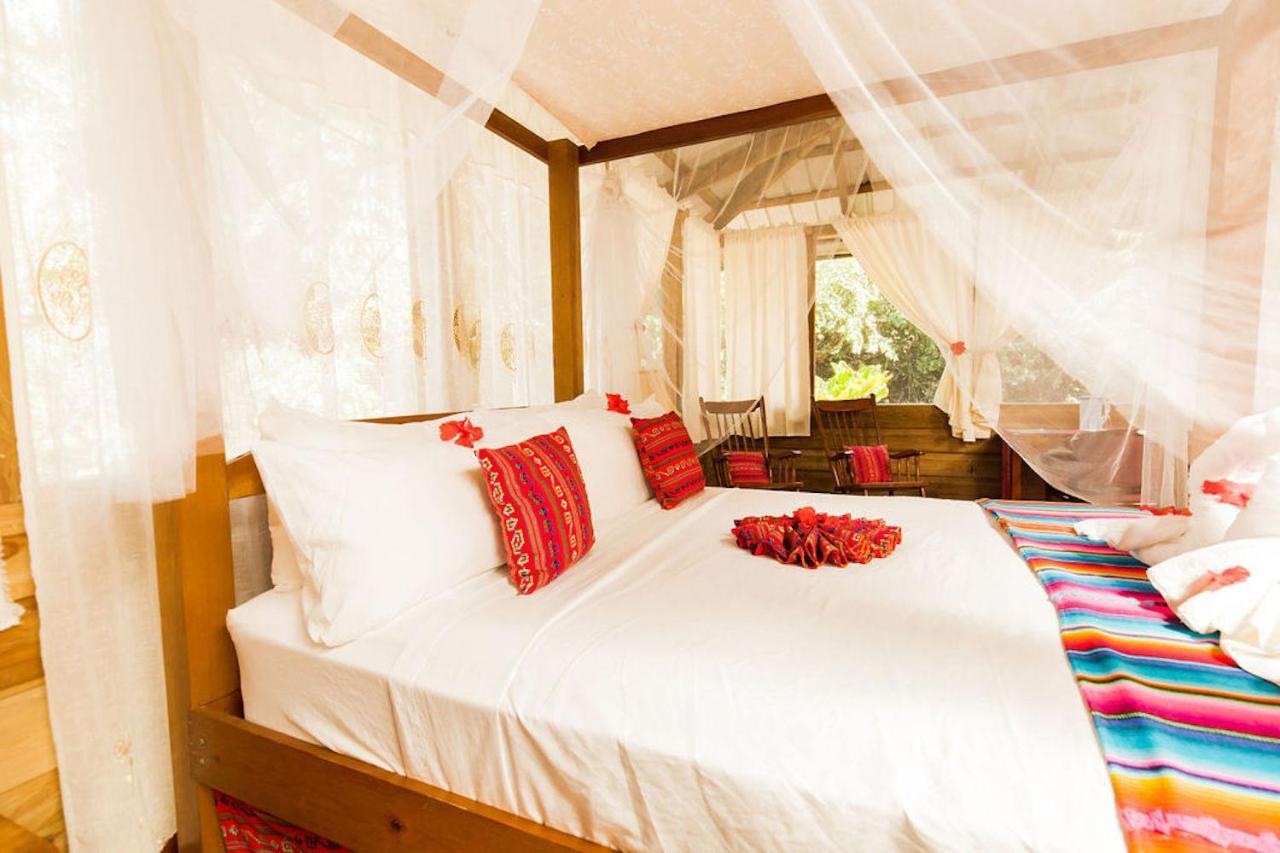 Hotel Jaguar Creek Good Living Camp Exterior foto